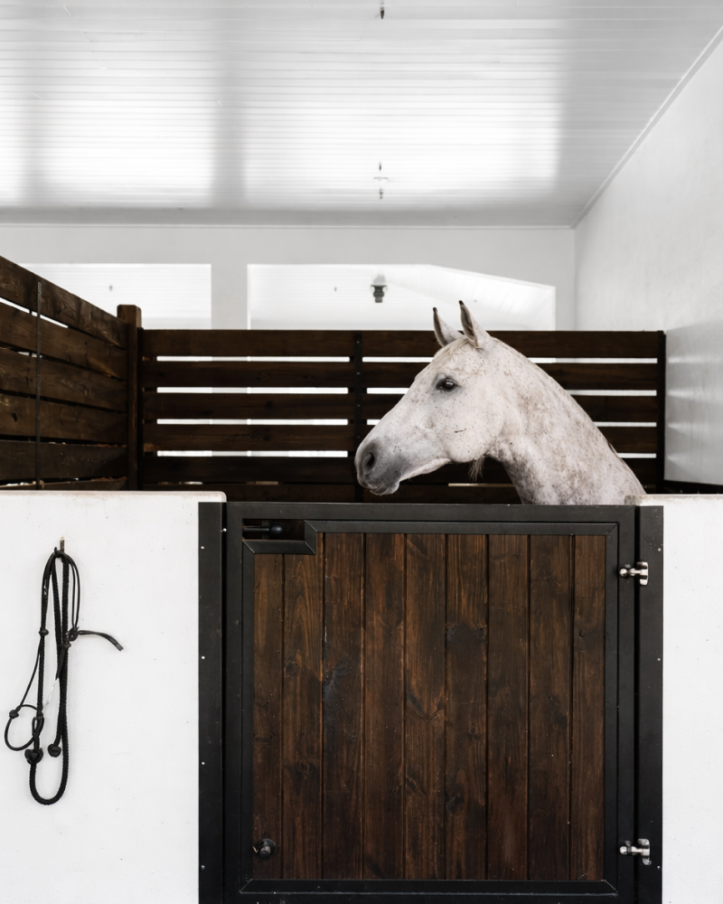 Для конюшни
