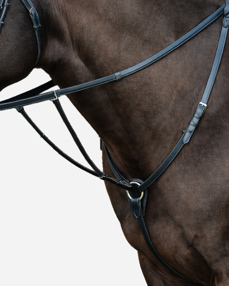 Подперсье-Мартингал