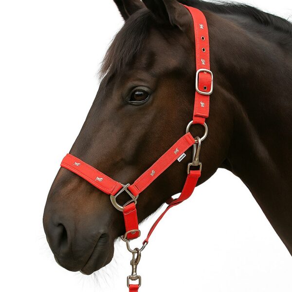 Недоуздок с нейлоновым чомбуром HorsePlanet
