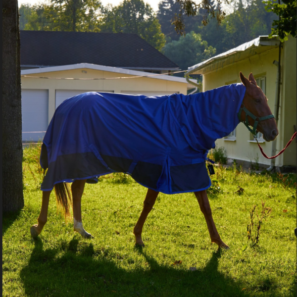 Попона дождевая HorsePlanet