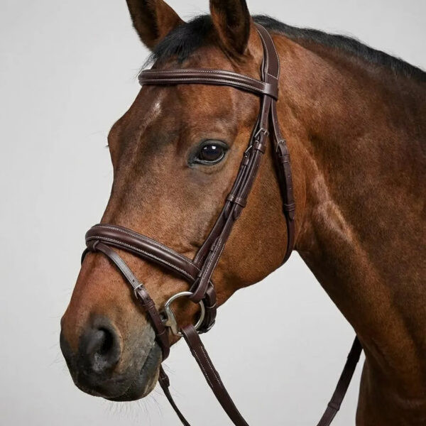 Трензельное оголовье Шарлотта HorsePlanet