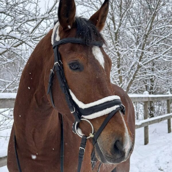 Трензельное оголовье с мехом Комфорт HorsePlanet