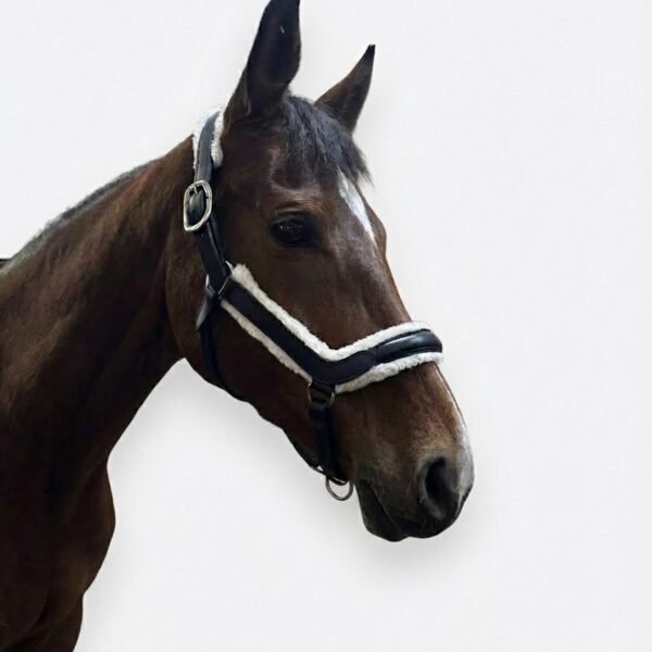 Кожаный недоуздок Роял HorsePlanet