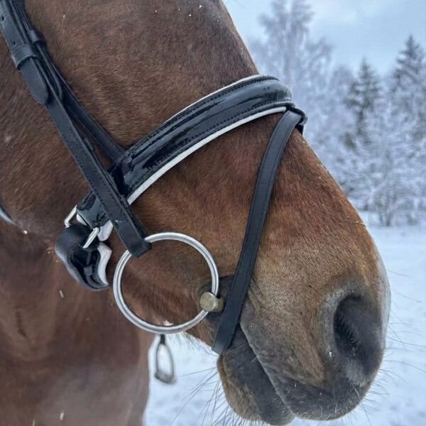 Трензельное оголовье Регина HorsePlanet