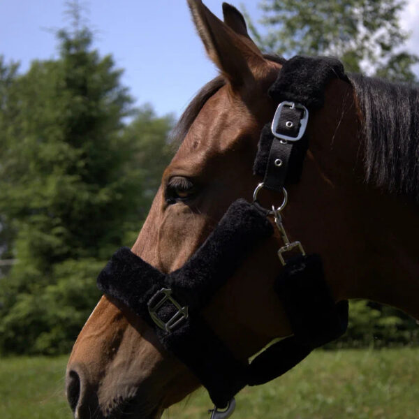Недоуздок с мехом Камило HorsePlanet