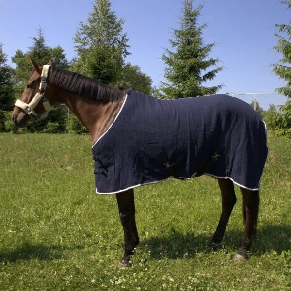 Вафельная попона HorsePlanet