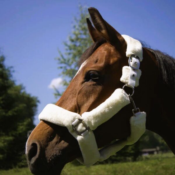Недоуздок с мехом Камило HorsePlanet