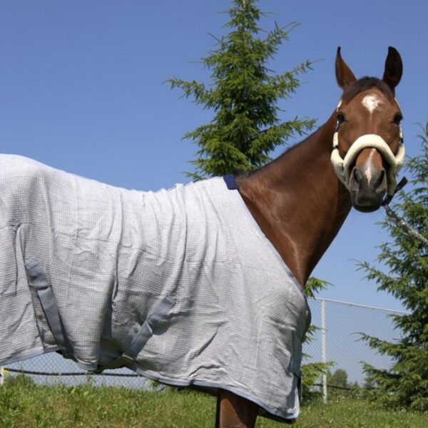 Вафельная попона HorsePlanet