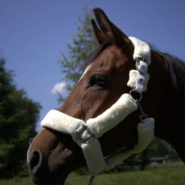 Недоуздок с мехом Камило HorsePlanet