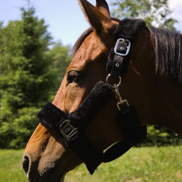 Недоуздок с мехом Камило HorsePlanet
