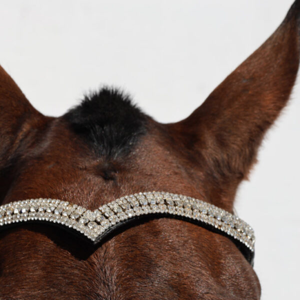 Оголовье безтрензельное HorsePlanet