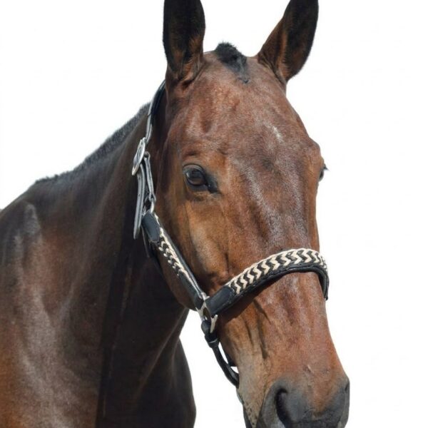 Кожаный анатомический недоуздок Зигзаг HorsePlanet