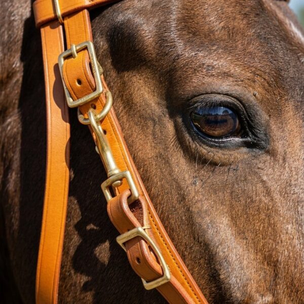 Уздечка трансформер Хранира HorsePlanet