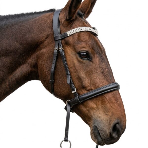 Оголовье безтрензельное HorsePlanet