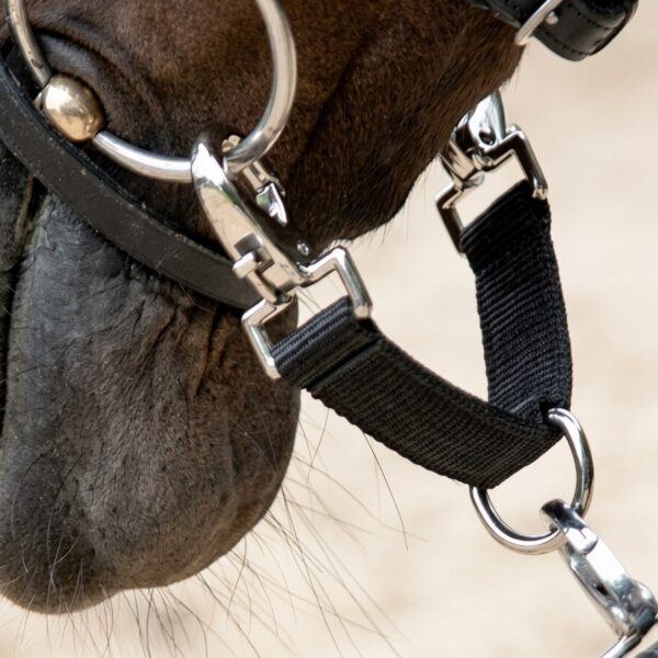 Переходник для корды HorsePlanet