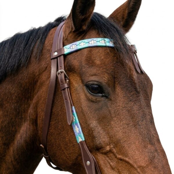 Уздечка вестерн Рейса HorsePlanet