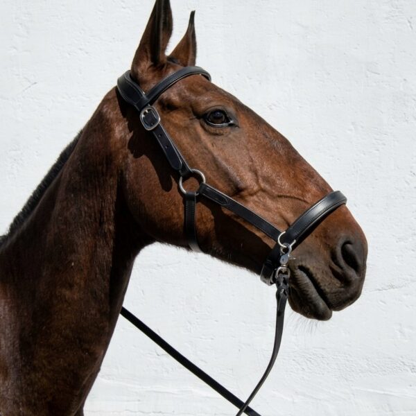 Сайдпул Трофея HorsePlanet