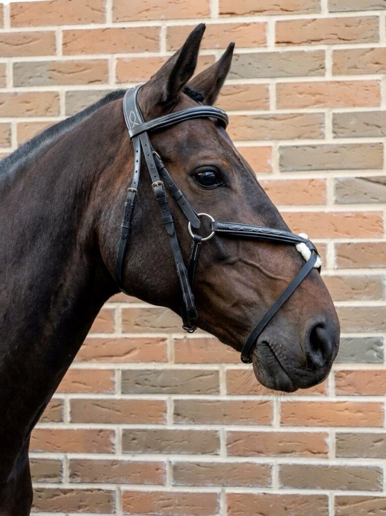 Мексиканская уздечка HorsePlanet