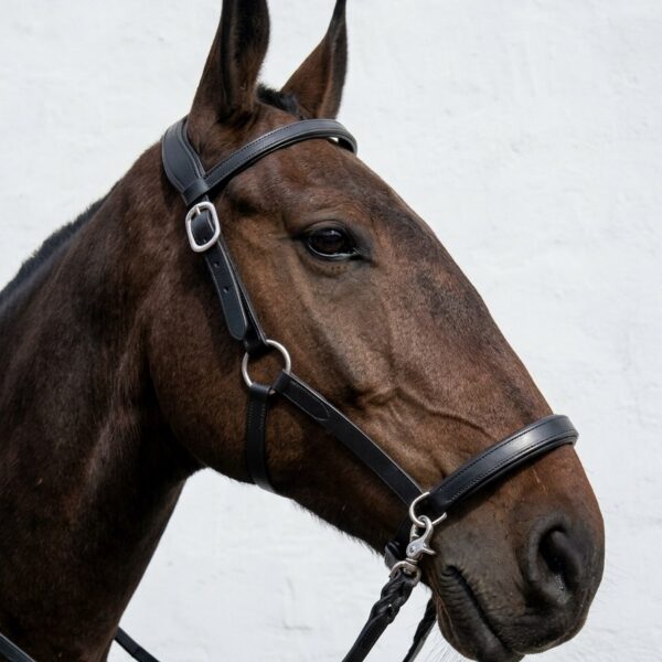 Сайдпул Трофея HorsePlanet