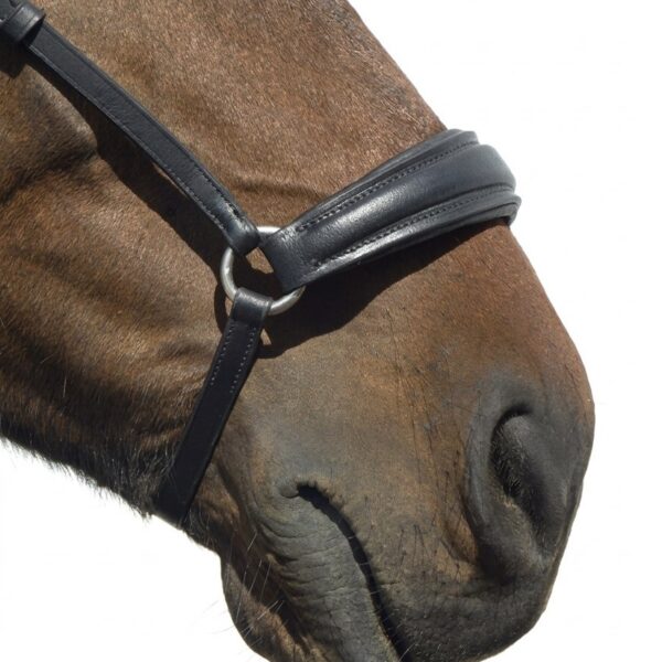 Оголовье с чешским капсулем HorsePlanet