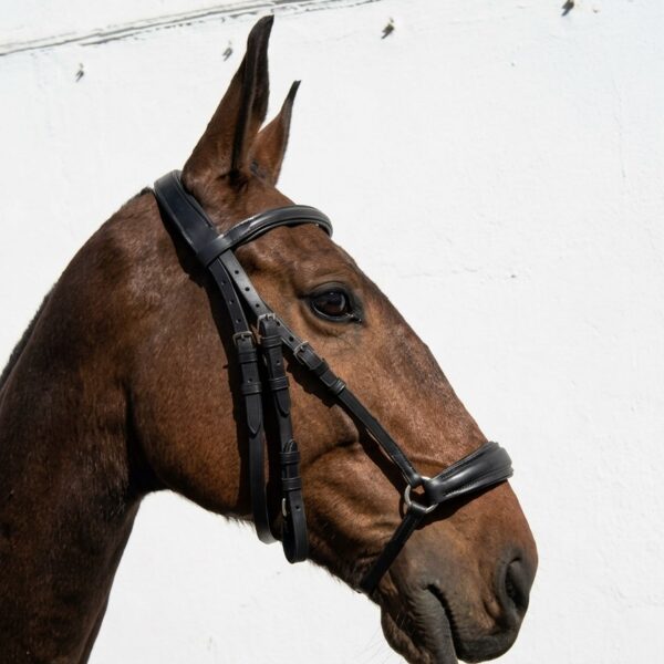 Оголовье с чешским капсулем HorsePlanet