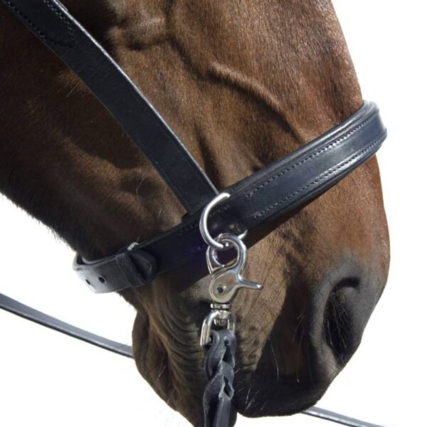 Сайдпул Трофея HorsePlanet