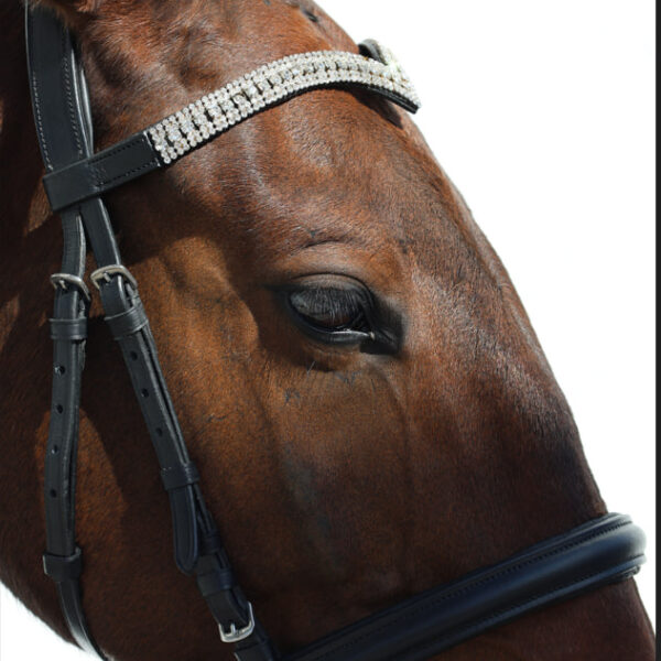 Оголовье безтрензельное HorsePlanet